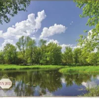 پرده تصویری