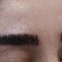 تتو کرکی (کاشت رنگ بصورت مویی و کاملا طبیعی)|خدمات آرایشگری و زیبایی|کرج, حیدرآباد|دیوار