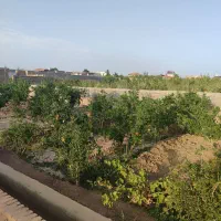 باغ اناری فروشی|فروش زمین و ملک کلنگی|سبزوار, خسروجرد|دیوار