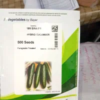 کود مرغ از مرغ داری میناب یا بندر
