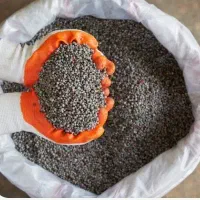 کود سیاه مخصوص کشاورزی‌