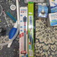 آکواریوم کامل نو|ماهی|مرودشت, ابوذر شمالی|دیوار