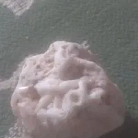 سنگ. مرجان.سفید