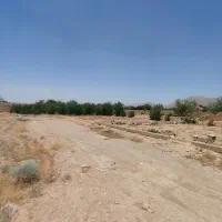 زمین مسکونی/متراژ دار/خوش قواره