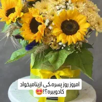 باکس وجار گل افتابگردون|گل و گیاه طبیعی|اصفهان, باغ زرشک|دیوار