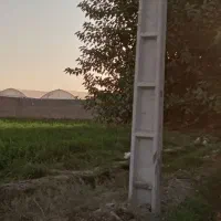 زمین کشاورزی