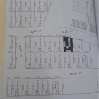 زمین ۲۴۰ متری واگذاری مسکن سعیداباد خامس اباد