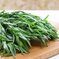 خدمات سبزی انواع|خوردنی و آشامیدنی|قم, حاج خلیل|دیوار