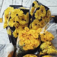 رز هلندی آفتاب گردان گلایل آنتریوم طبیعی عمده