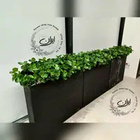 باکس گیاه کنار دیواری فلاورباکس گیاه قاشقی|گل مصنوعی|تهران, بروجردی|دیوار