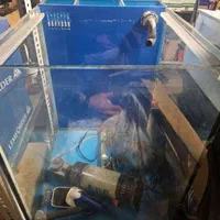 آکواریوم آب شور|ماهی|تهران, نظامی گنجوی (توانیر)|دیوار