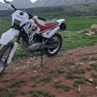 تریل روان اصلی