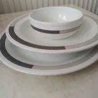سرویس چینی غذاخوری زرین