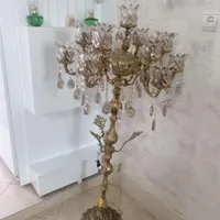 آباژور. کنارسالنی