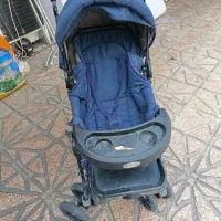 کالسکه دلیجان