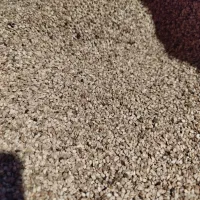 سنجد روغنی و گوشی خوش طعم