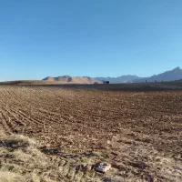 فروش زمین کشاورزی روستای آغچه قابل معاوضه با خودرو|فروش زمین و ملک کلنگی|بوئین و میاندشت, |دیوار