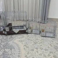 سلام قفس دستباف درهراندازه ومدل درخدمتم