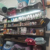 پت شاپ دانش پور