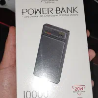 پاور بانک پلمپ