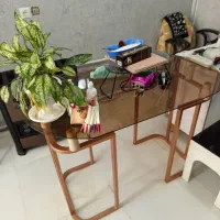 میزناخنکاررایگان