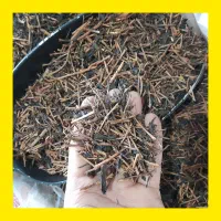 چای چوب قلم خانه سه (کد۱۲) قیمت ۶۹ واقعی