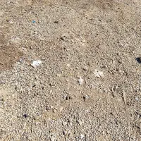 کود