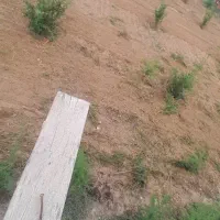 شخم و دیکس باغ|خدمات باغبانی و درختکاری|گرگان, |دیوار