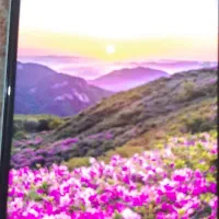 سامسونگ a24