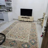 43متر/خوش نقشه/محبوب مجاز