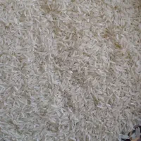 فروش برنج فجر آبیاری شده با آب چشمه|خوردنی و آشامیدنی|نوده خاندوز, |دیوار