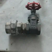 شیر برنجی فلکه ای