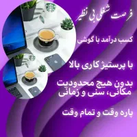 دعوت به همکاری در برترین بیزینس کشور( دورکاری)