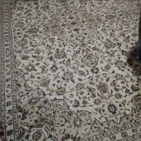 فرش 9 متری کاشان زمینه کرم ، 2 تخته