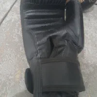 دستکش ونوم|تجهیزات ورزشی|شیراز, پودنک|دیوار