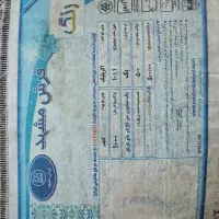 فرش ۶ متری فرش مشهد|فرش|رشت, معلم|دیوار