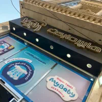 صندوقدار خانوم