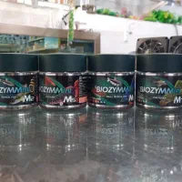 آکواریوم وماهیان زینتی|ماهی|رامشیر, |دیوار