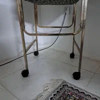 عروس هلندی|پرنده|شیراز, احمدآباد|دیوار