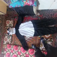 لباس پاندا مهربون|لباس|مرند, |دیوار