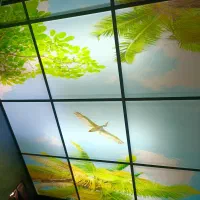 اجرای کناف ،سقف کاذب،پی وی سی ،آسمان مجازی|خدمات پیشه و مهارت|میناب, |دیوار