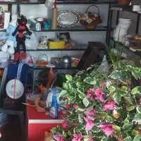 اجاره مغازه 12متری در ماسال داخل شهر خیابان فلسطین