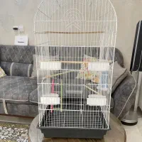 فروش  قفس پرنده