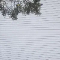 فوری  فوری  مغازه تجاری ۲۰ متری امامیه ۱۰ پرتردد|اجارهٔ مغازه و غرفه|مشهد, ولیعصر (شهرک غرب)|دیوار