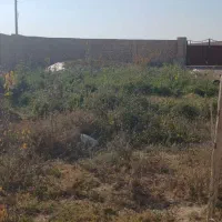 دامداری|فروش دفتر صنعتی، کشاورزی، تجاری|قوچان, |دیوار