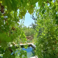 باغ-واقع-در-قلعه-سفید-450متر-اقتصادی