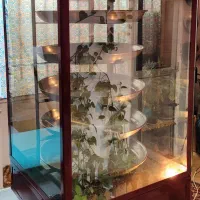 فر گردان گازی و برقی پیتزا و انواع شیرینی