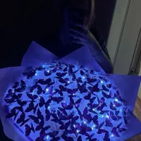 گل روبانی و پروانه ای(LID)