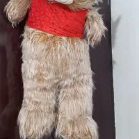 عروسک شاسخین