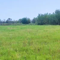 باغ شالیزاری 10 هکتاری به همراه استخر ماهی|فروش زمین و ملک کلنگی|تهران, پامنار|دیوار